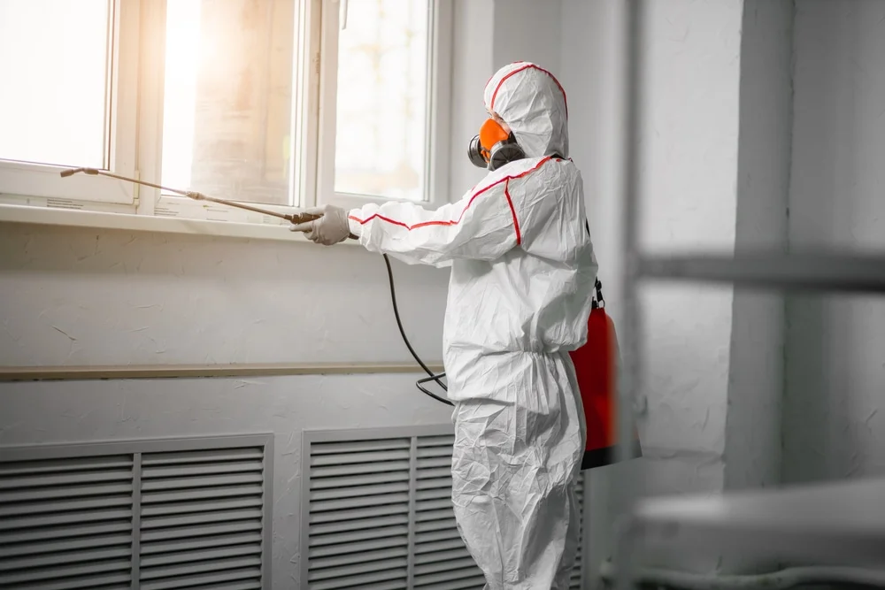 Professional mold remediation services in Maryknoll, NY